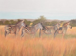 The Zebra Crossing