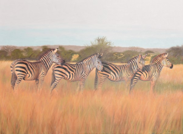 The Zebra Crossing